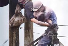 HISTORY: KISS OF LIFE