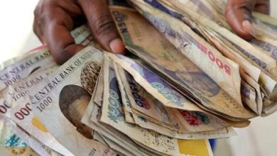 500 and 1000 naira notes