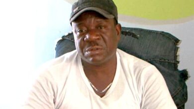 mr ibu