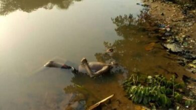 8426912 unidentifiedcorpseofmanfoundfloatingonriverosun jpeg758cafc53fd6daccfb48b4f1c8e95293