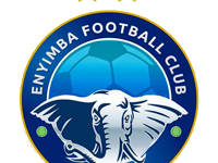Enyimba International F.C. logo