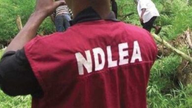NDLEA e1556712206585