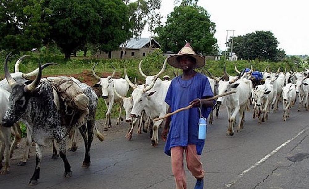 The ordeals of Fulani's herdsmen on Akpaa Mbato Community - A Cry For Help. 1 The ordeals on the people of Akpaa Mbato Autonomous Community, in Obingwa Local Government Area in Aba, Abia State, Nigeria by Fulani's herdsmen as reported by Kpomkwem News. The ordeals on the people of Akpaa Mbato Autonomous Community, in Obingwa Local Government Area in Aba, Abia State, Nigeria by Fulani's herdsmen as reported by Kpomkwem News. The ordeals of Fulani's herdsmen on Akpaa Mbato Community - A Cry For Help.