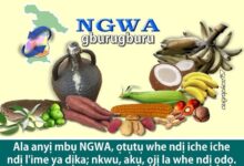 ngwa 293c06f4 9586 4044 81b0 85d155b2e32 resize 750