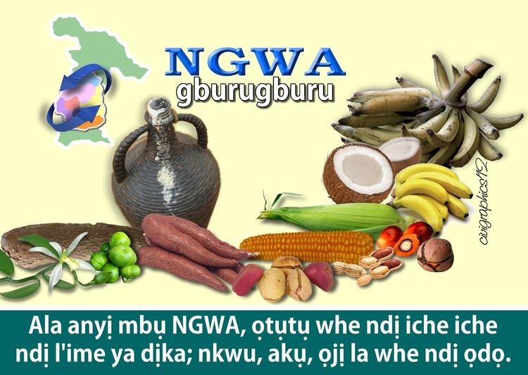 History Of The Ngwa And Ohuhu People 1 In the olden days, days of the forefathers (ancestors), some Igbo nationalities were migrating to this part of the country from their original abode somewhere within Uli area of present day Anambra State. On getting to the Imo River, having observed that the heavens would soon open up, some of the people hurried up and crossed over the river while others remained to roast yam to eat having became tired and hungry. In the olden days, days of the forefathers (ancestors), some Igbo nationalities were migrating to this part of the country from their original abode somewhere within Uli area of present day Anambra State. On getting to the Imo River, having observed that the heavens would soon open up, some of the people hurried up and crossed over the river while others remained to roast yam to eat having became tired and hungry. ngwa 293c06f4 9586 4044 81b0 85d155b2e32 resize 750