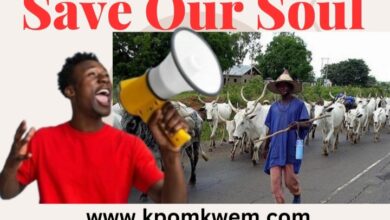 SOS: Community Cries Out For Farm Destruction As Hunger and Death Looms