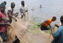 Top 10 aquaculture countries in the world