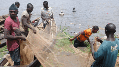 Top 10 aquaculture countries in the world