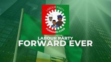 BREAKING: Labour Party gets new National Chairperson