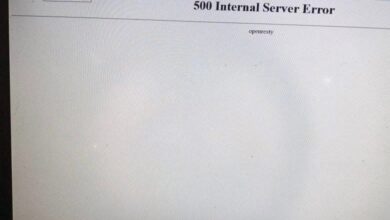 Customs Recruitment Portal Crashes During Pre-Exam Test, Applicants Frustrated 21 Customs Recruitment Portal Crashes During Pre-Exam Test, Applicants Frustrated Customs Recruitment Portal Crashes During Pre-Exam Test, Applicants Frustrated Custom