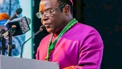 Bishop Kukah Advises Goodluck Jonathan Ahead of 2027 Elections 20 Bishop Kukah Advises Goodluck Jonathan Ahead of 2027 Elections Bishop Kukah Advises Goodluck Jonathan Ahead of 2027 Elections images 20