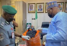 Nigeria Customs Intercepts Illicit Drugs Worth ₦562.5 Million in Badagry 2 In a major victory in Nigeria’s ongoing battle against drug trafficking, the Nigeria Customs Service (NCS) has intercepted illicit drugs valued at an estimated ₦562.5 million in the Gbaji area of Badagry, Lagos State. The interception underscores the Service’s renewed commitment to safeguarding Nigeria’s borders from criminal syndicates exploiting trade routes for illicit activities. In a major victory in Nigeria’s ongoing battle against drug trafficking, the Nigeria Customs Service (NCS) has intercepted illicit drugs valued at an estimated ₦562.5 million in the Gbaji area of Badagry, Lagos State. The interception underscores the Service’s renewed commitment to safeguarding Nigeria’s borders from criminal syndicates exploiting trade routes for illicit activities. 20251025 203712