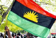 Indigenous People of Biafra (IPOB) declared the South-East “safe” for Christmas 2 IPOB has publicly invited Igbo people whether living in the South-East, elsewhere in Nigeria, or abroad to return home for the Christmas and New Year holidays. IPOB has publicly invited Igbo people whether living in the South-East, elsewhere in Nigeria, or abroad to return home for the Christmas and New Year holidays. 20251207 105707