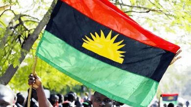 Indigenous People of Biafra (IPOB) declared the South-East “safe” for Christmas 8 IPOB has publicly invited Igbo people whether living in the South-East, elsewhere in Nigeria, or abroad to return home for the Christmas and New Year holidays. IPOB has publicly invited Igbo people whether living in the South-East, elsewhere in Nigeria, or abroad to return home for the Christmas and New Year holidays. 20251207 105707